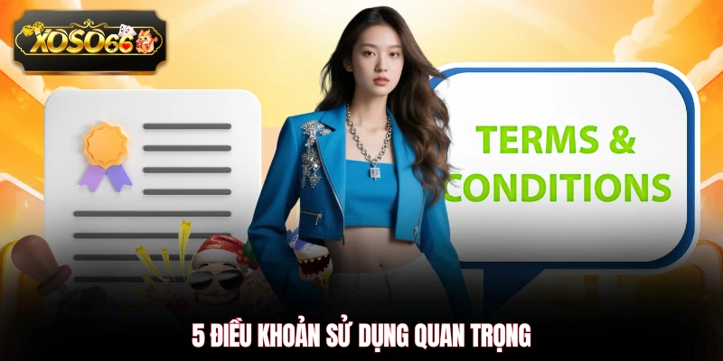 5 điều khoản sử dụng quan trọng