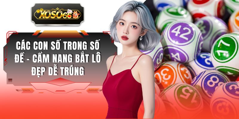 Các Con Số Trong Số Đề - Cẩm Nang Bắt Lô Đẹp Dễ Trúng