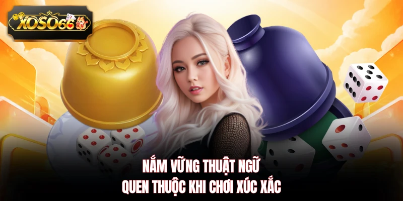 Nắm vững thuật ngữ quen thuộc khi chơi xúc xắc