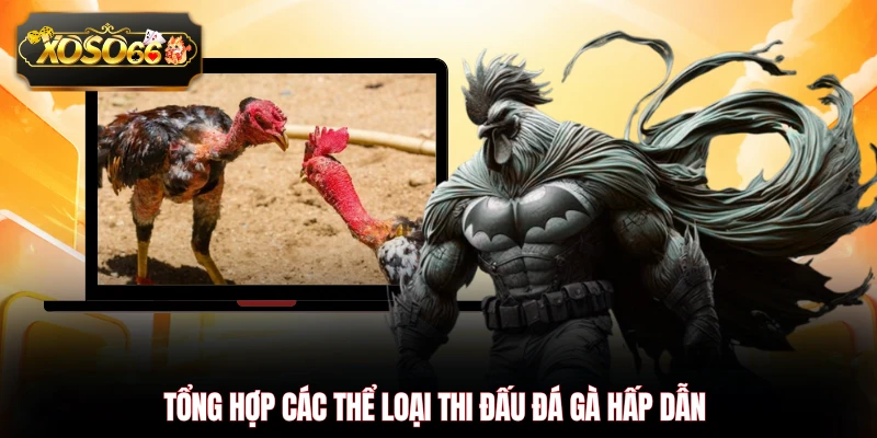 Tổng hợp các thể loại thi đấu đá gà hấp dẫn
